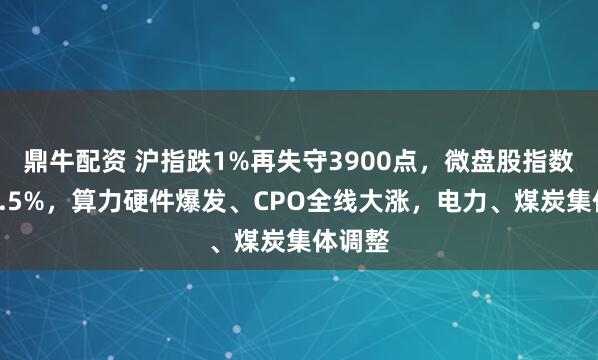 鼎牛配资 沪指跌1%再失守3900点，微盘股指数大跌3.5%，算力硬件爆发、CPO全线大涨，电力、煤炭集体调整